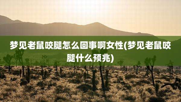 梦见老鼠咬腿怎么回事啊女性(梦见老鼠咬腿什么预兆)