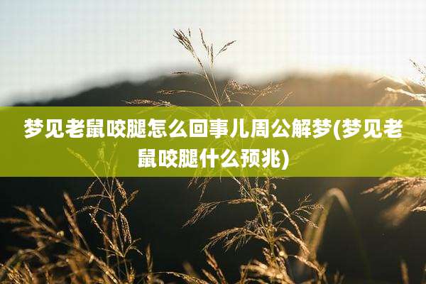 梦见老鼠咬腿怎么回事儿周公解梦(梦见老鼠咬腿什么预兆)
