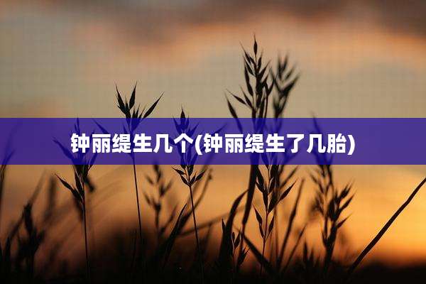 钟丽缇生几个(钟丽缇生了几胎)