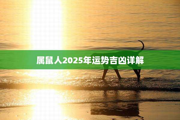 属鼠人2025年运势吉凶详解