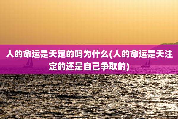 人的命运是天定的吗为什么(人的命运是天注定的还是自己争取的)