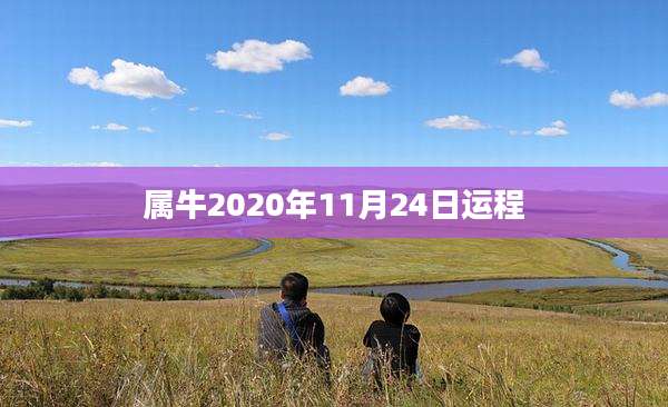 属牛2020年11月24日运程