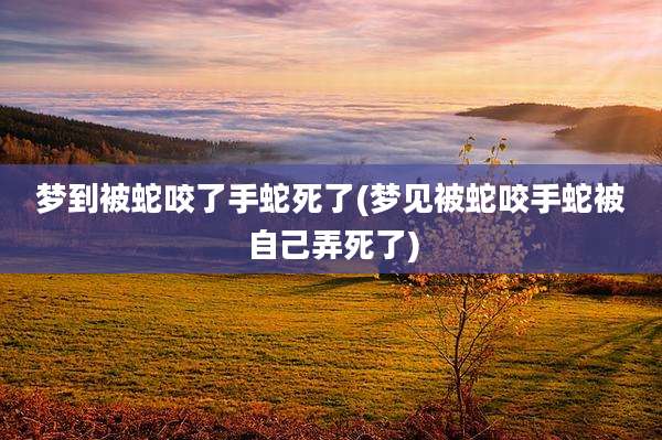 梦到被蛇咬了手蛇死了(梦见被蛇咬手蛇被自己弄死了)
