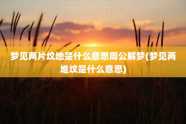 梦见两片坟地是什么意思周公解梦(梦见两堆坟是什么意思)