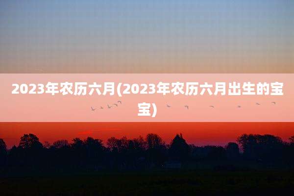 2023年农历六月(2023年农历六月出生的宝宝)