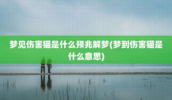 梦见伤害猫是什么预兆解梦(梦到伤害猫是什么意思)