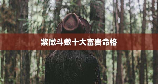 紫微斗数十大富贵命格