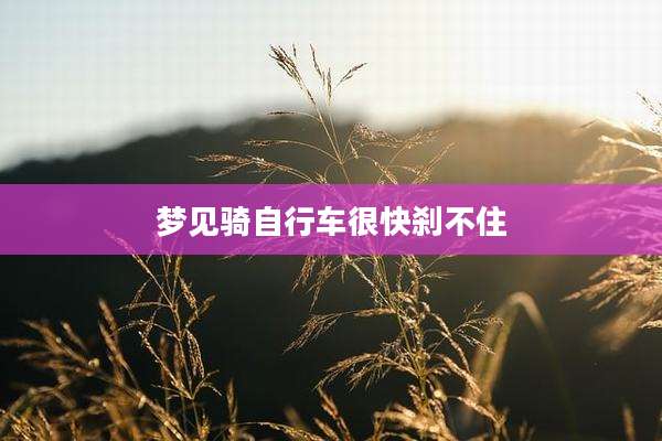 梦见骑自行车很快刹不住