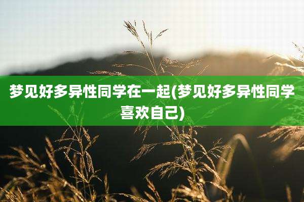 梦见好多异性同学在一起(梦见好多异性同学喜欢自己)