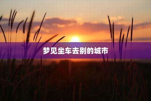 梦见坐车去别的城市
