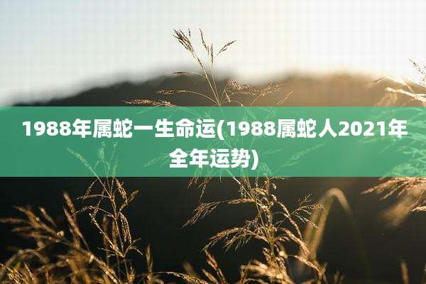 1988年属蛇一生命运(1988属蛇人2021年全年运势)