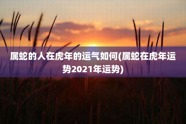 属蛇的人在虎年的运气如何(属蛇在虎年运势2021年运势)