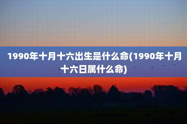1990年十月十六出生是什么命(1990年十月十六日属什么命)