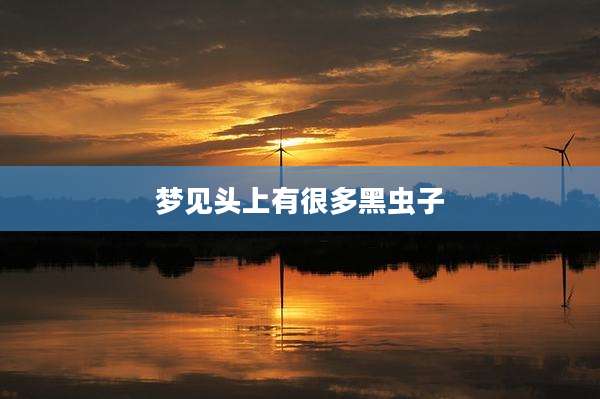 梦见头上有很多黑虫子