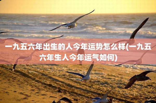 一九五六年出生的人今年运势怎么样(一九五六年生人今年运气如何)