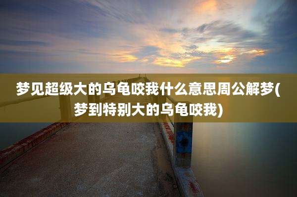 梦见超级大的乌龟咬我什么意思周公解梦(梦到特别大的乌龟咬我)