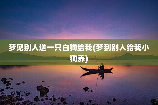 梦见别人送一只白狗给我(梦到别人给我小狗养)