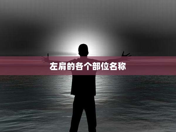 左肩的各个部位名称