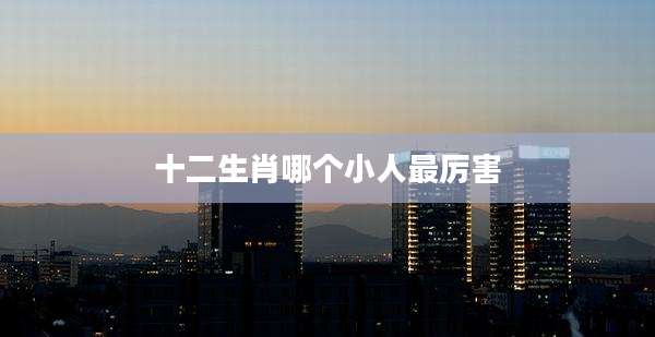 十二生肖哪个小人最厉害
