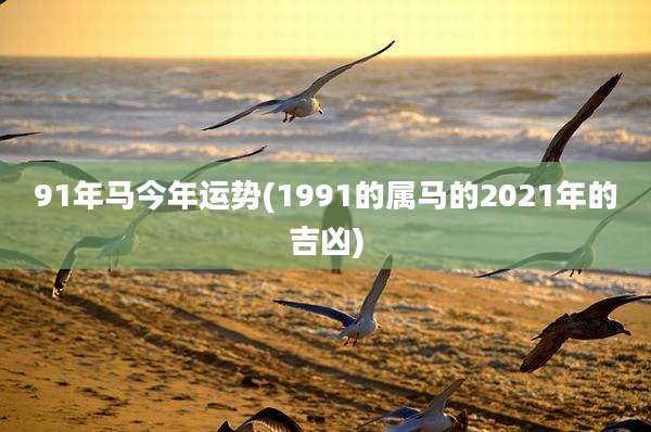 91年马今年运势(1991的属马的2021年的吉凶)