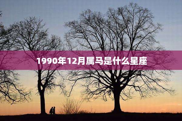 1990年12月属马是什么星座