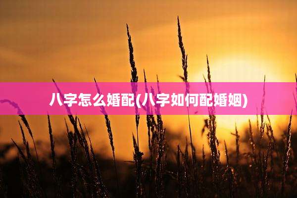 八字怎么婚配(八字如何配婚姻)
