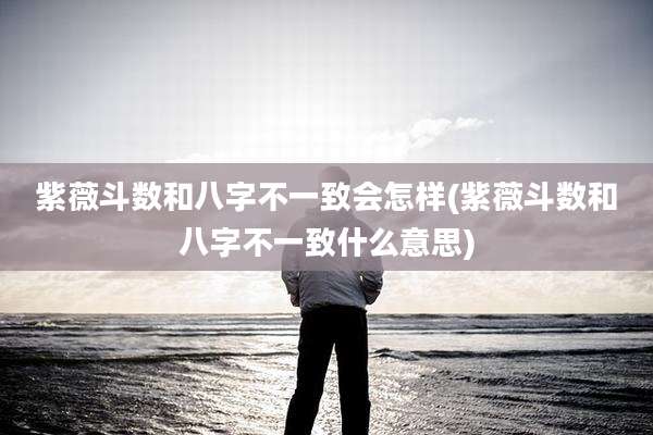 紫薇斗数和八字不一致会怎样(紫薇斗数和八字不一致什么意思)