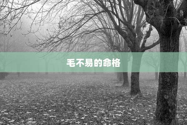 毛不易的命格