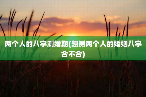 两个人的八字测婚期(想测两个人的婚姻八字合不合)