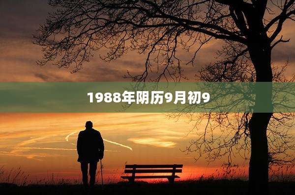 1988年阴历9月初9