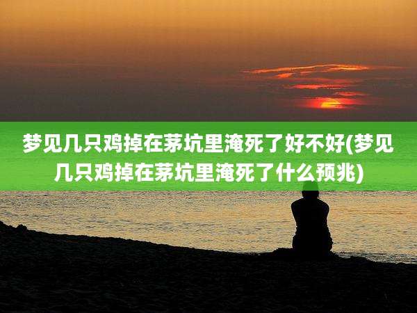 梦见几只鸡掉在茅坑里淹死了好不好(梦见几只鸡掉在茅坑里淹死了什么预兆)