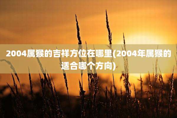 2004属猴的吉祥方位在哪里(2004年属猴的适合哪个方向)