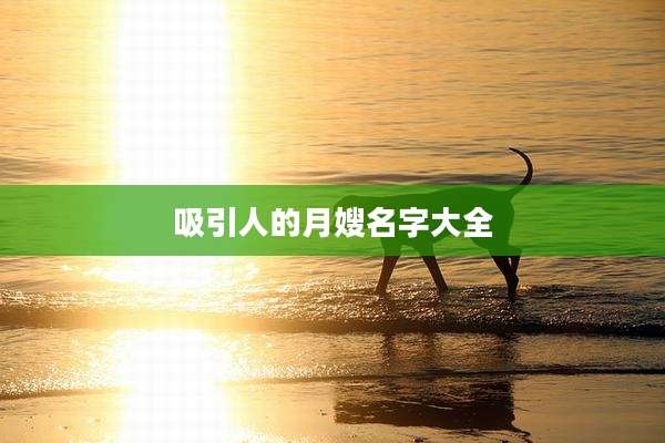 吸引人的月嫂名字大全