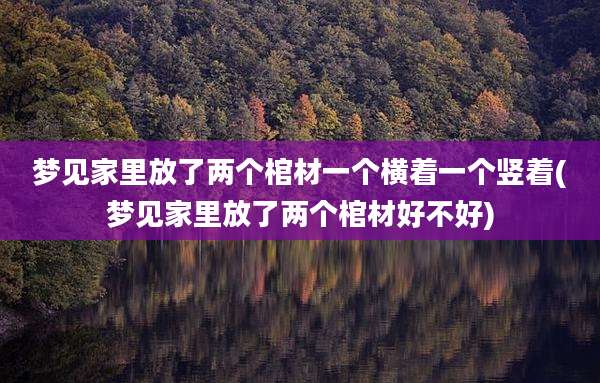 梦见家里放了两个棺材一个横着一个竖着(梦见家里放了两个棺材好不好)
