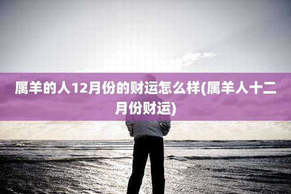 属羊的人12月份的财运怎么样(属羊人十二月份财运)