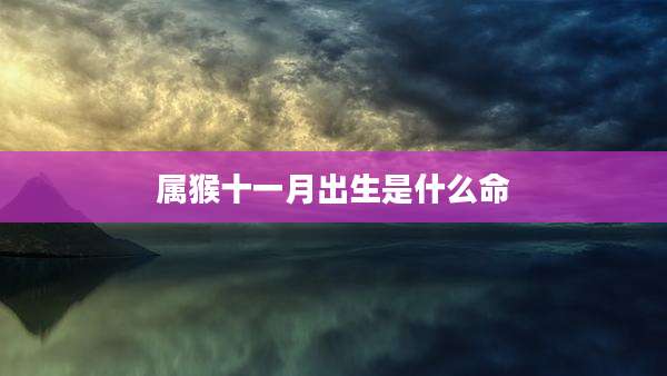 属猴十一月出生是什么命