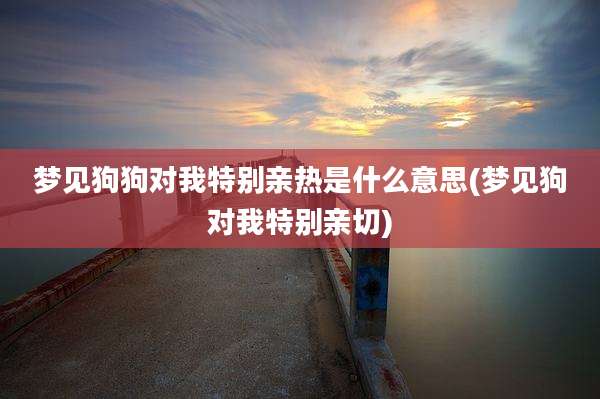 梦见狗狗对我特别亲热是什么意思(梦见狗对我特别亲切)