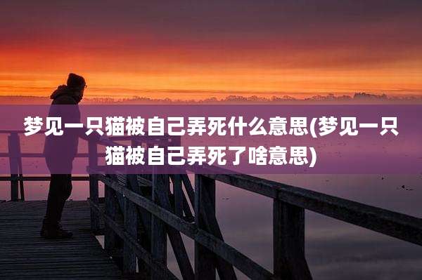 梦见一只猫被自己弄死什么意思(梦见一只猫被自己弄死了啥意思)
