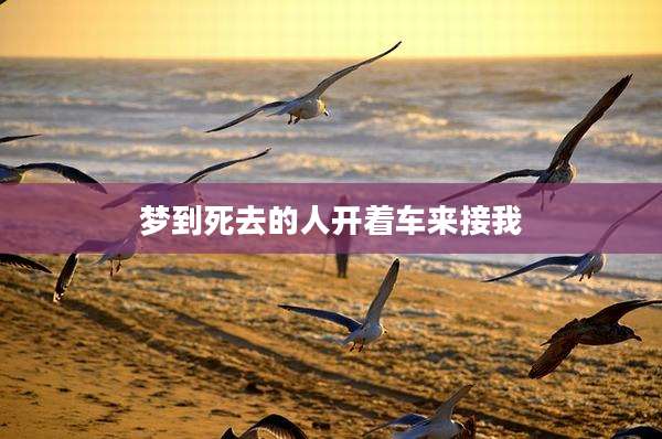 梦到死去的人开着车来接我