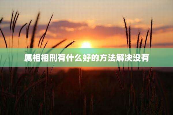 属相相刑有什么好的方法解决没有