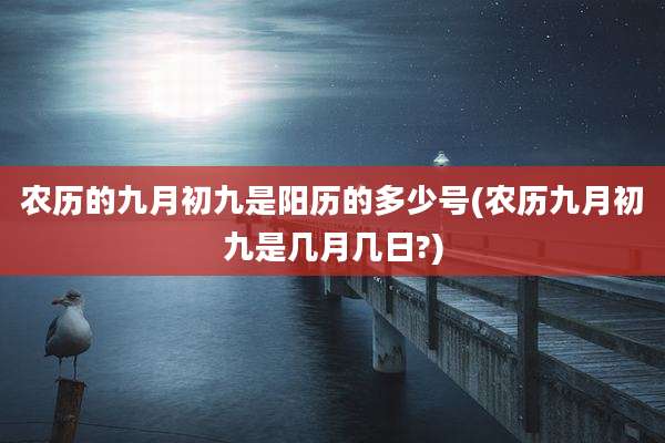 农历的九月初九是阳历的多少号(农历九月初九是几月几日?)