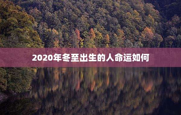 2020年冬至出生的人命运如何