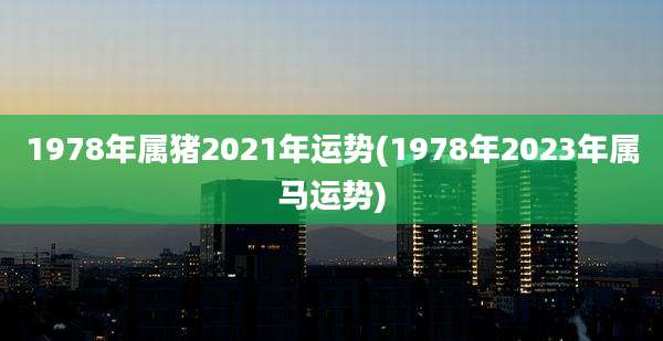 1978年属猪2021年运势(1978年2023年属马运势)