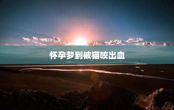 怀孕梦到被猫咬出血