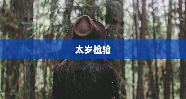 太岁检验