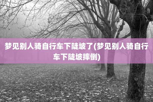 梦见别人骑自行车下陡坡了(梦见别人骑自行车下陡坡摔倒)