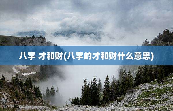 八字 才和财(八字的才和财什么意思)