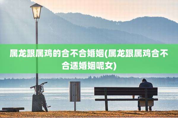 属龙跟属鸡的合不合婚姻(属龙跟属鸡合不合适婚姻呢女)
