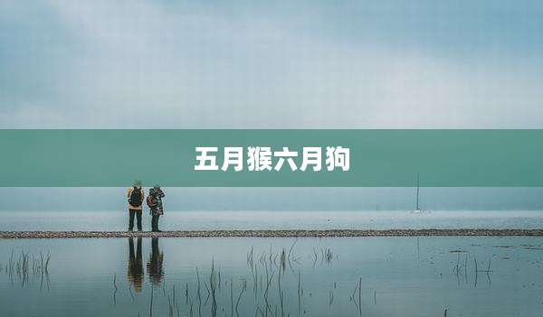 五月猴六月狗