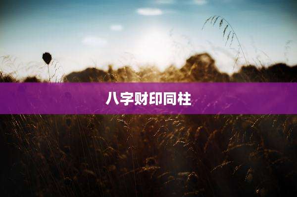 八字财印同柱
